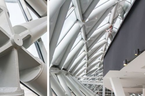 Velryba v Budapešti